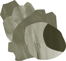 貝がらのイラスト