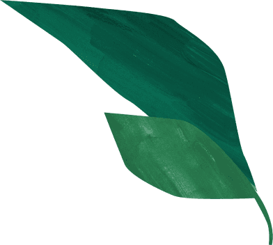 葉っぱのイラスト